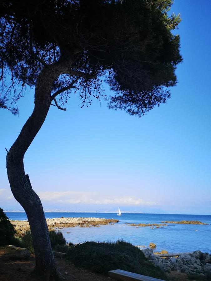 5 Min To Sea Suite Francaise Old Town Antibes Zewnętrze zdjęcie